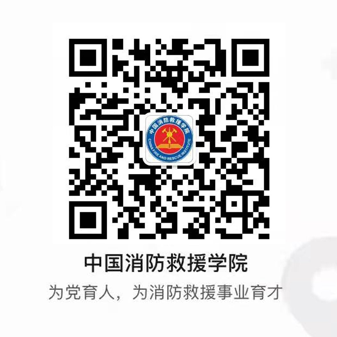 继续浏览